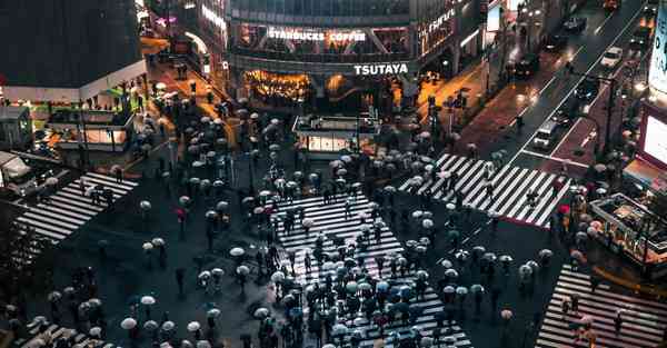 2024年有横财的手机号码大揭秘